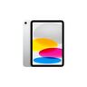 Apple iPad